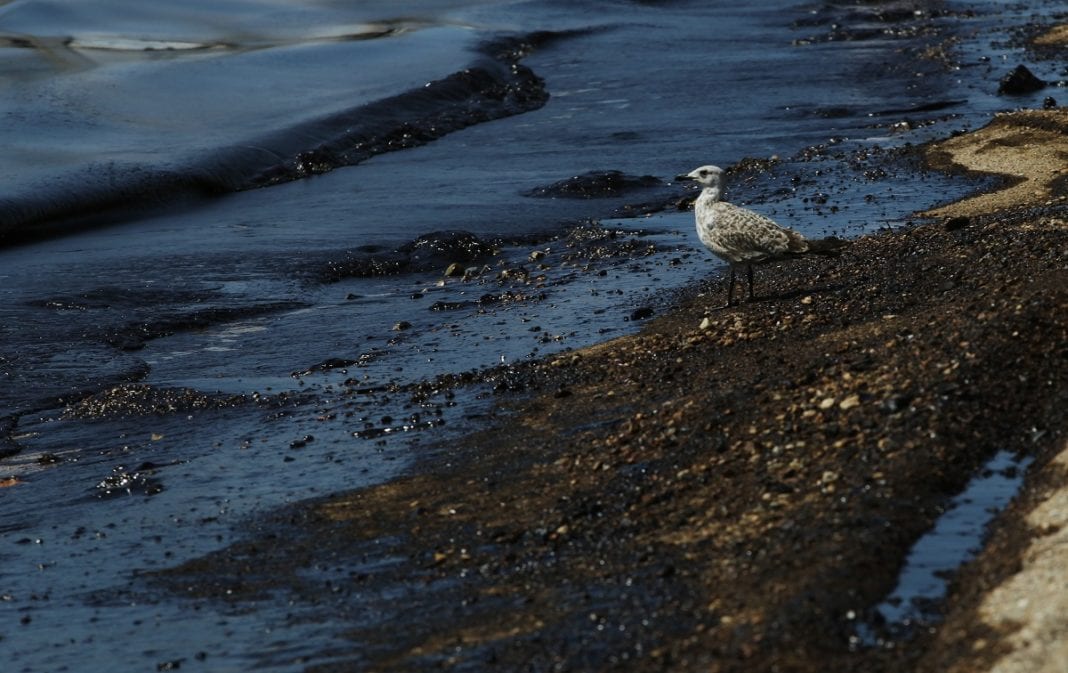 ΤΕΕ: Πρωταγωνιστεί στην προστασία των ελληνικών θαλασσών από την ρύπανση