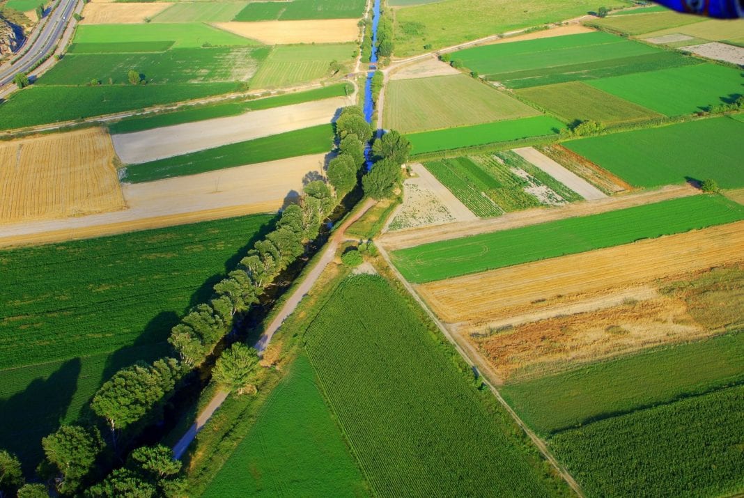 Πλήρης αποκατάσταση του δρόμου Αλίαρτος – Άγιος Δημήτριος στη Βοιωτία