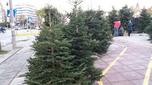 Αν. ΥΠΕΝ, Σ. Φάμελλος: «Κανένα Χριστουγεννιάτικο Δέντρο στο ΧΥΤΑ»