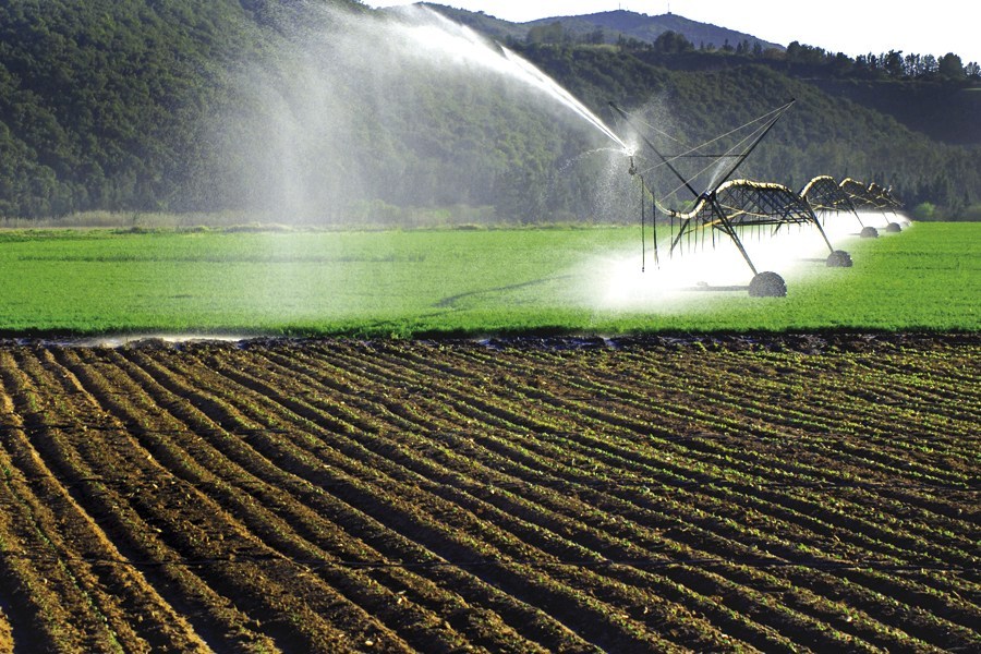 Eνέργειες  ΥΠΕΝ και ΥΠΑΑΤ για την αντιμετώπιση της νιτρορύπανσης γεωργικής προέλευσης