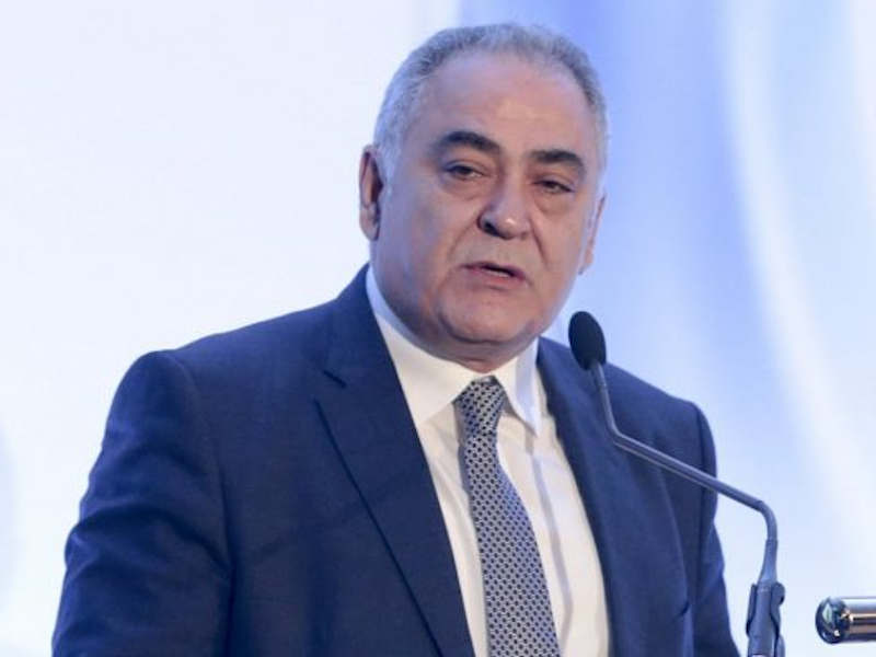 Χατζηθεοδοσίου: Το ΕΕΑ αναλαμβάνει δράση για την αναδάσωση του Υμηττού