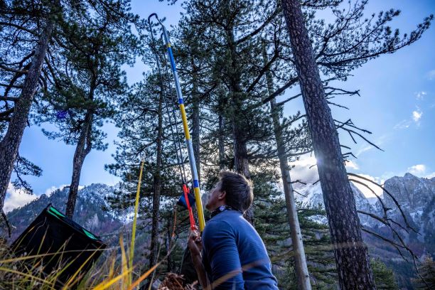 Huawei Ελλάδος: Πρωτοποριακές τεχνολογίες αιχμής στην υπηρεσία της προστασίας του περιβάλλοντος