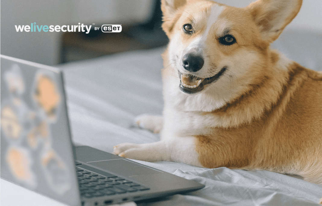 Ένας στους έξι χρησιμοποιεί για κωδικό πρόσβασης το όνομα του κατοικιδίου του