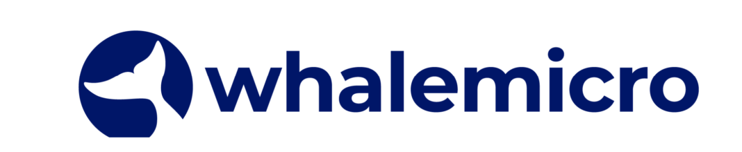 Zepp: Επενδύει στην Ελλάδα δημιουργώντας κέντρο Έρευνας & Ανάπτυξης μέσω της θυγατρικής της, Whale Microelectronics