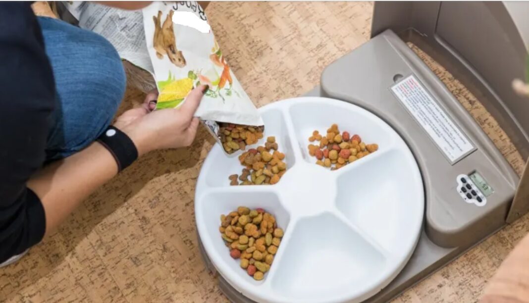 Η αυτόματη ταΐστρα του κατοικίδιου σας μπορεί να σας «κλέβει» προσωπικά δεδομένα