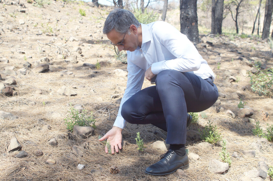 H Νοva αναπτύσσει τo έργο «Έξυπνο Δάσος Ρόδος», στο πλαίσιο του προγράμματος εταιρικής υπευθυνότητας, ύψους €1 εκατ.