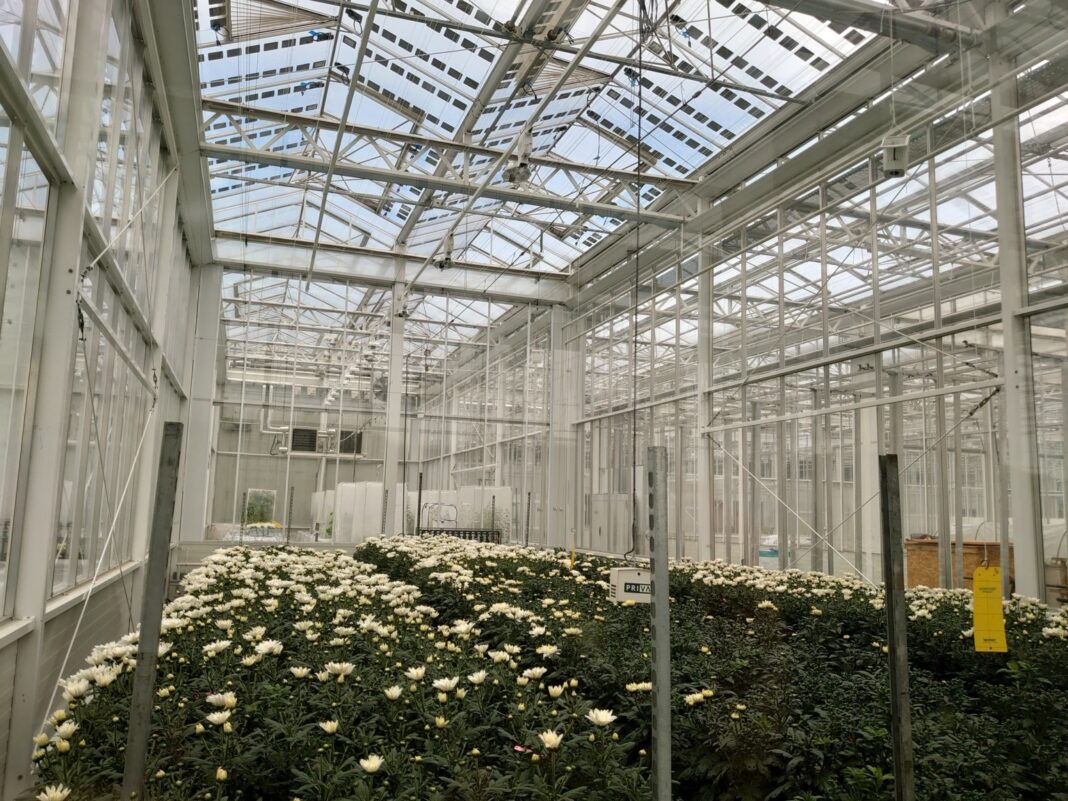 Brite Solar: Η ελληνική startup που συγκαταλέγεται στις ταχύτερα αναπτυσσόμενες της Ευρώπης