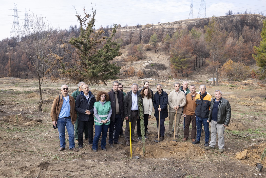 Η Nova ξεκίνησε την αναδάσωση της Ιεράς Μονής Πεντέλης