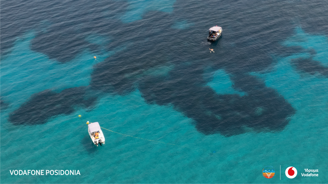 Το πρόγραμμα Vodafone Posidonia παρουσιάστηκε στην Επιτροπή Περιβάλλοντος της Βουλής